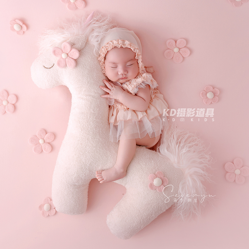 Accessoires de photographie po - Photography Outfit avis et prix