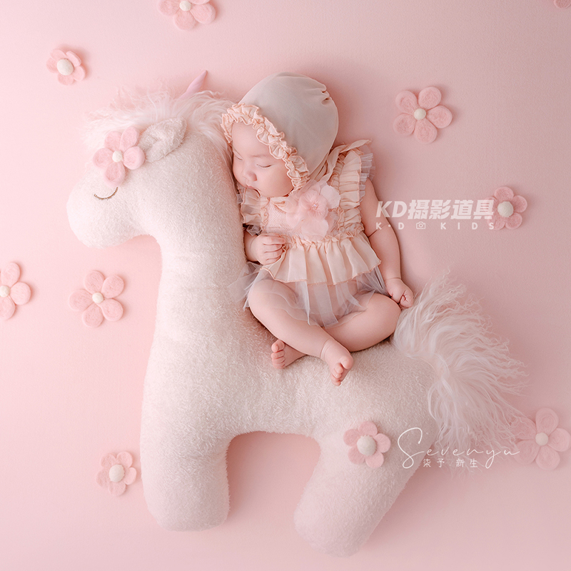 Accessoires de photographie po - Photography Outfit avis et prix